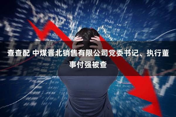 查查配 中煤晋北销售有限公司党委书记、执行董事付强被查