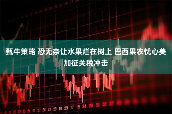 甄牛策略 恐无奈让水果烂在树上 巴西果农忧心美加征关税冲击